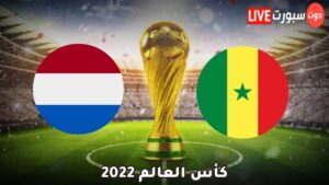 موعد مباراة السنغال وهولندا 
